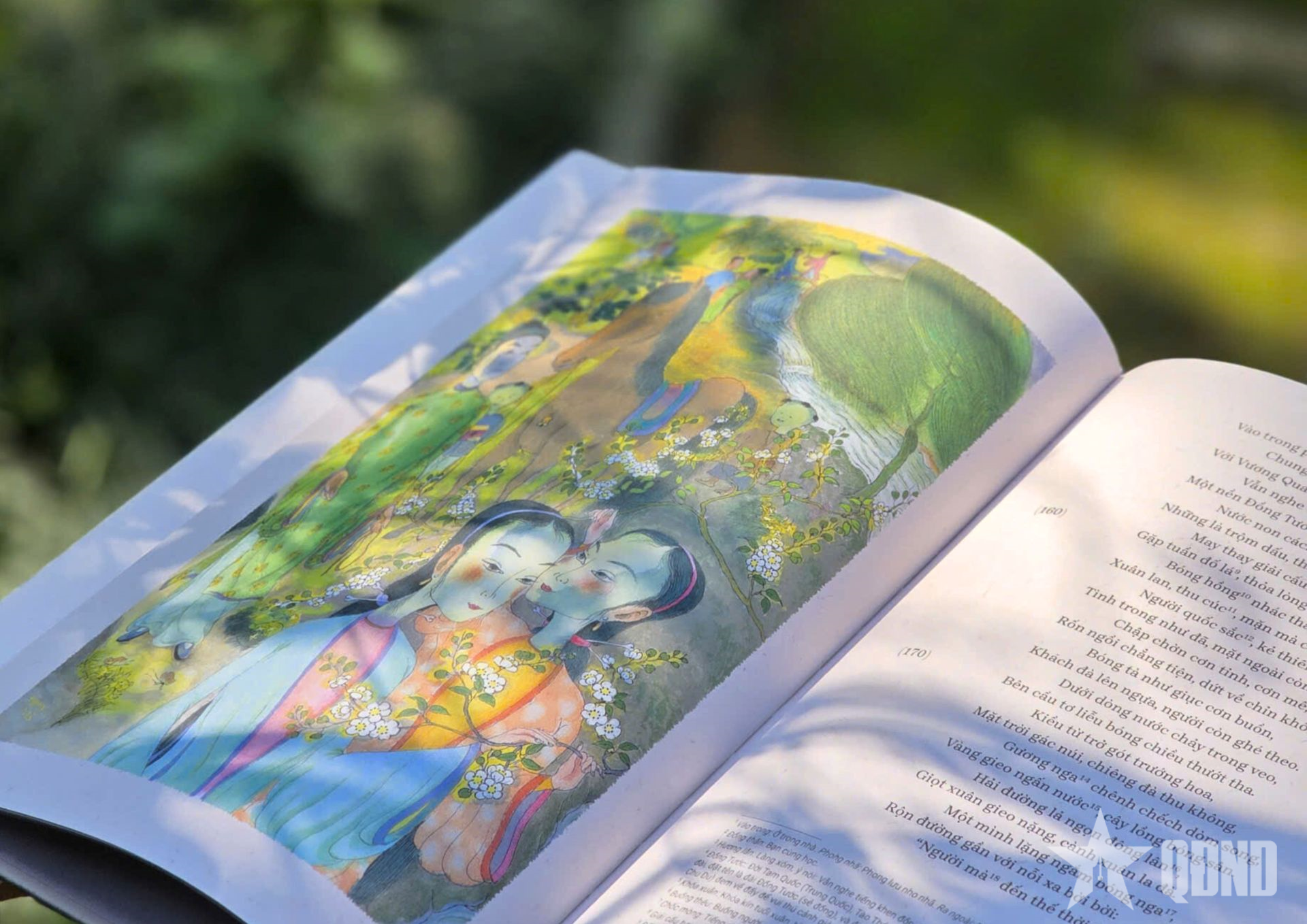 Ra mắt ấn bản “Truyện Kiều” với minh họa sinh động